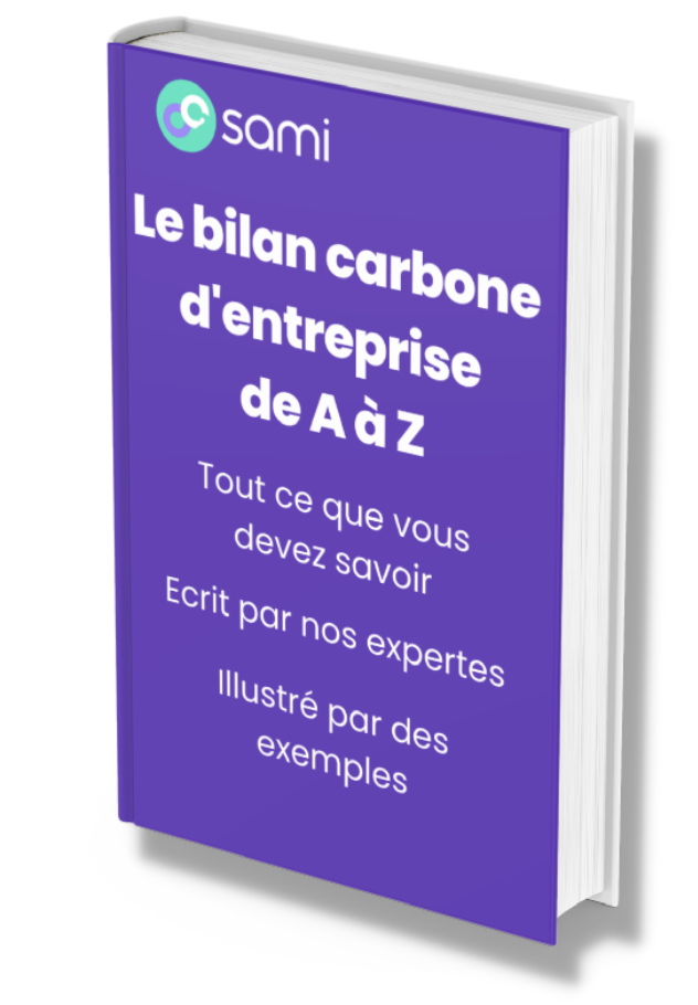 Guide Du Bilan Carbone En Entreprise